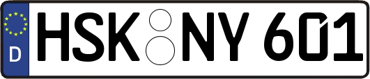 HSK-NY601