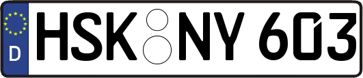 HSK-NY603