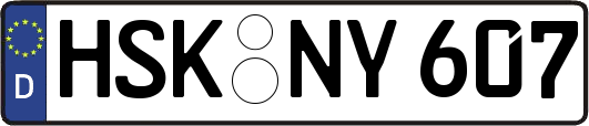 HSK-NY607