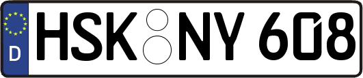 HSK-NY608