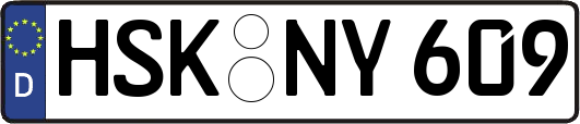 HSK-NY609