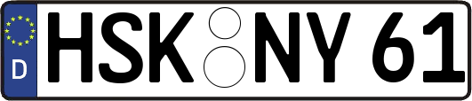 HSK-NY61