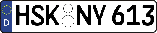 HSK-NY613
