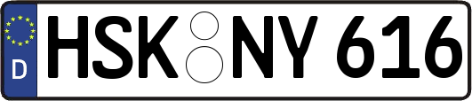 HSK-NY616