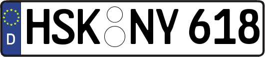 HSK-NY618