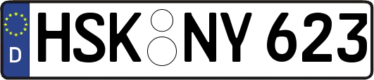 HSK-NY623