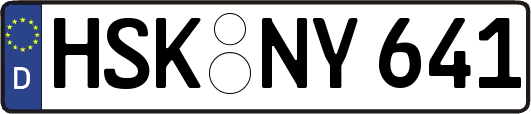 HSK-NY641