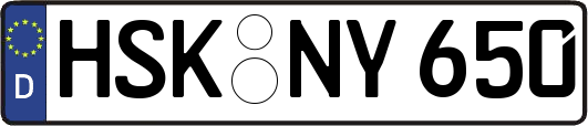 HSK-NY650