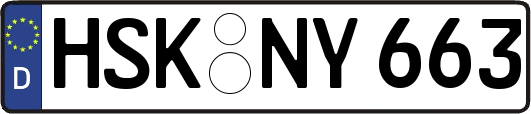 HSK-NY663