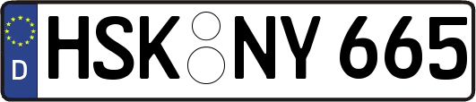 HSK-NY665