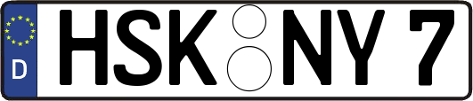 HSK-NY7