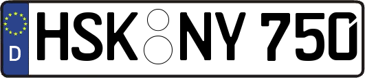HSK-NY750