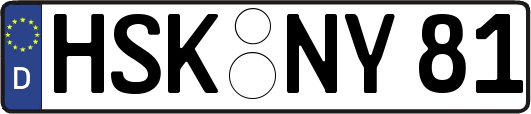 HSK-NY81
