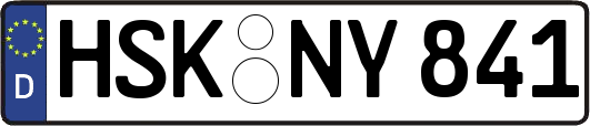 HSK-NY841
