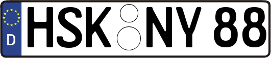 HSK-NY88