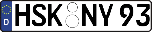 HSK-NY93