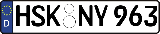 HSK-NY963