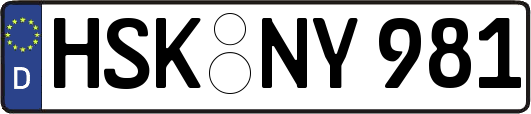 HSK-NY981