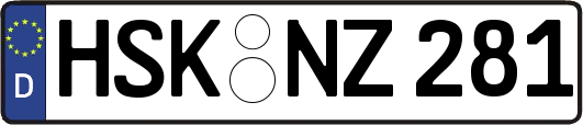 HSK-NZ281