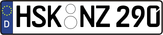 HSK-NZ290