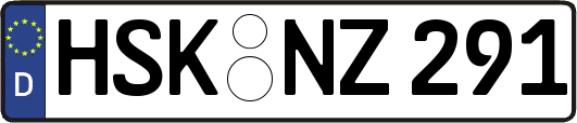 HSK-NZ291