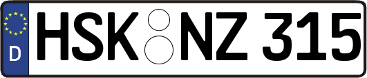 HSK-NZ315