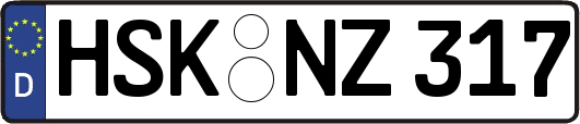 HSK-NZ317