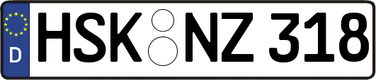 HSK-NZ318