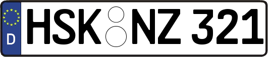 HSK-NZ321