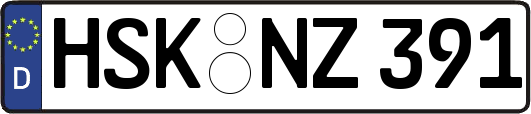 HSK-NZ391