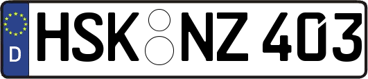HSK-NZ403