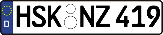 HSK-NZ419