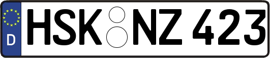 HSK-NZ423