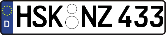 HSK-NZ433