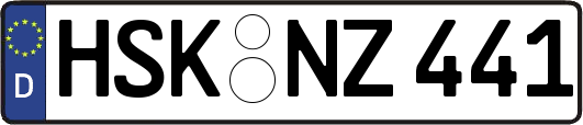 HSK-NZ441