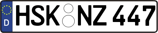 HSK-NZ447