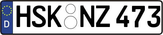 HSK-NZ473