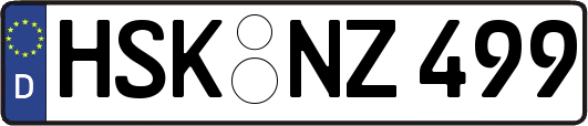 HSK-NZ499