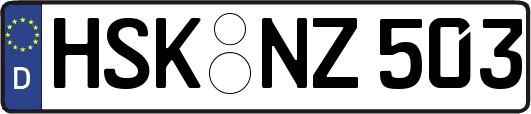 HSK-NZ503