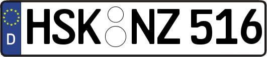 HSK-NZ516