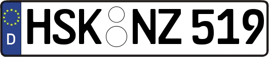 HSK-NZ519