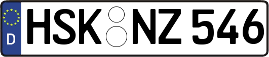 HSK-NZ546