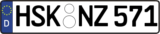 HSK-NZ571