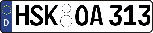 HSK-OA313