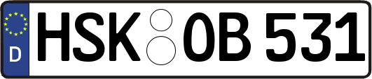 HSK-OB531