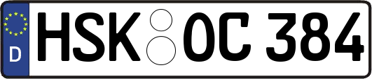 HSK-OC384