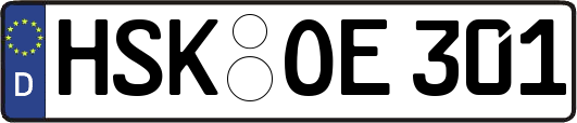 HSK-OE301