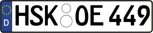 HSK-OE449