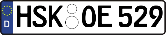 HSK-OE529
