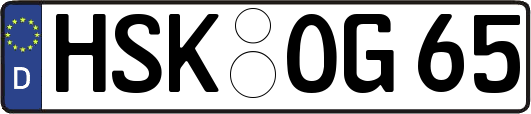 HSK-OG65